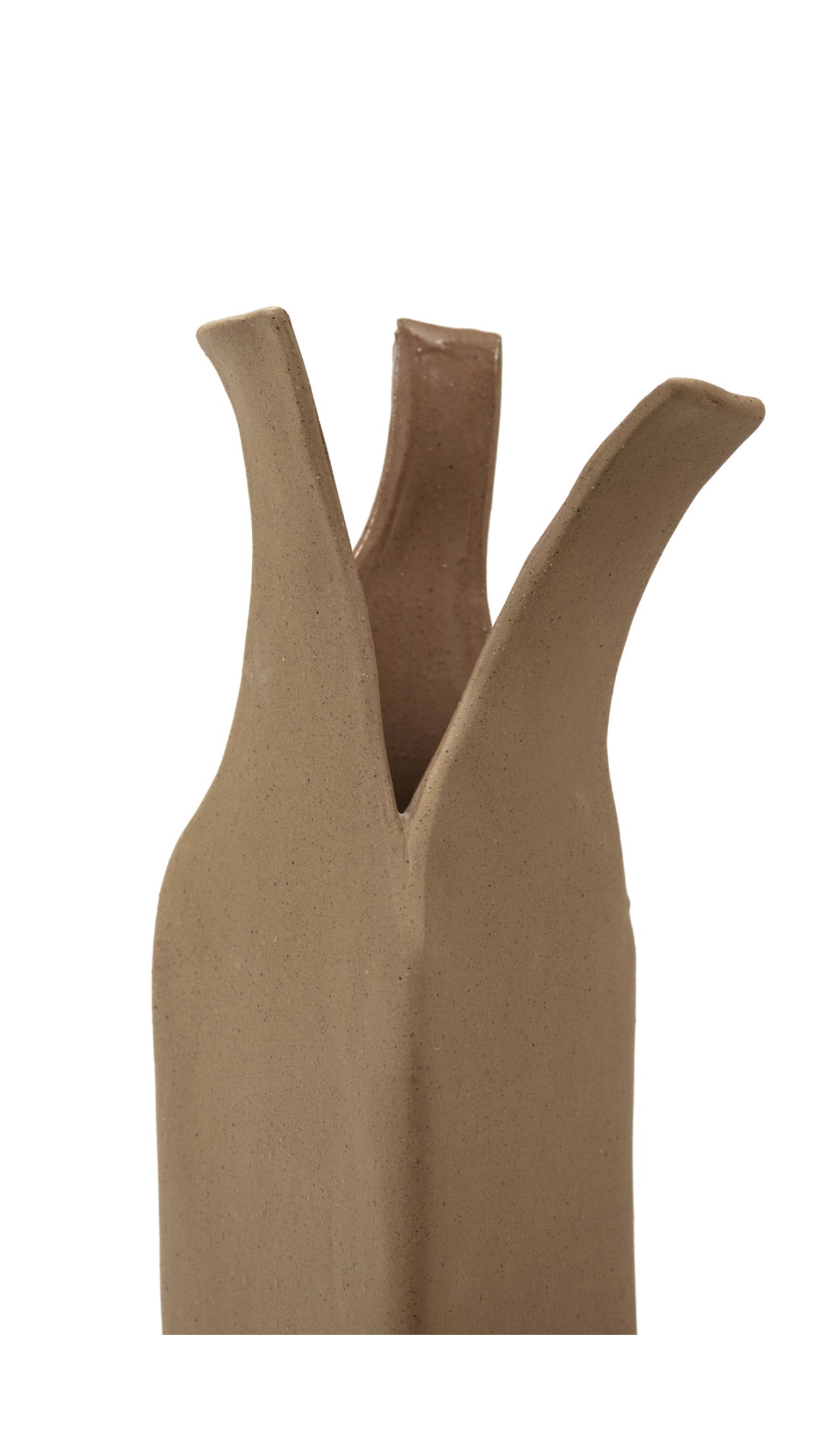 Vase L Flower Bottles